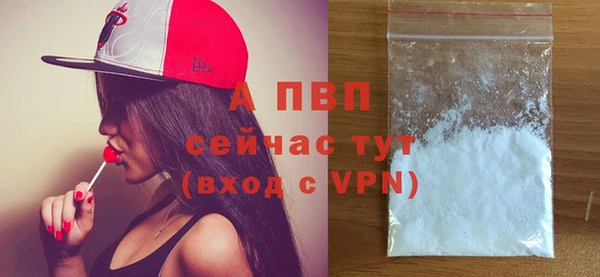 PSILOCYBIN Бородино