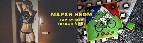 стаф Богородицк