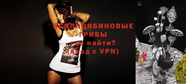 мдпв Бугульма