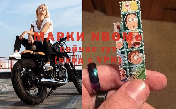PSILOCYBIN Бородино