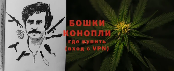 мдпв Бугульма