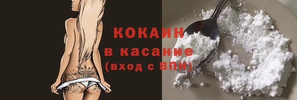 PSILOCYBIN Бородино