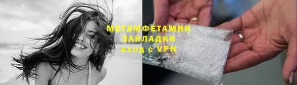 PSILOCYBIN Бородино