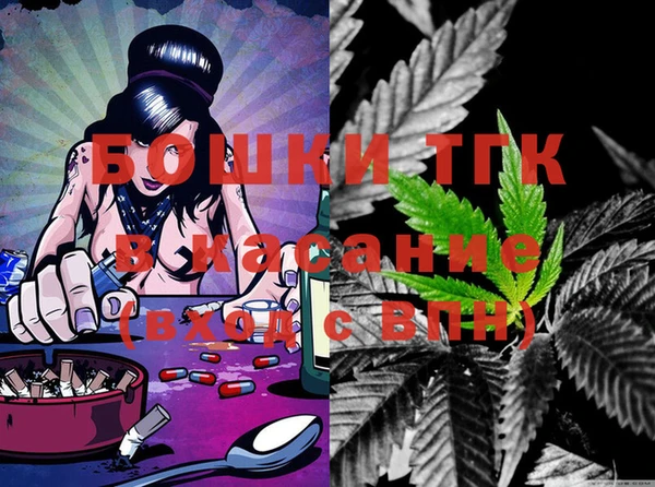 PSILOCYBIN Бородино