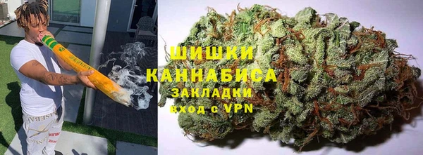 PSILOCYBIN Бородино