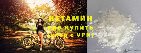 PSILOCYBIN Бородино
