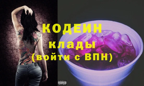 PSILOCYBIN Бородино
