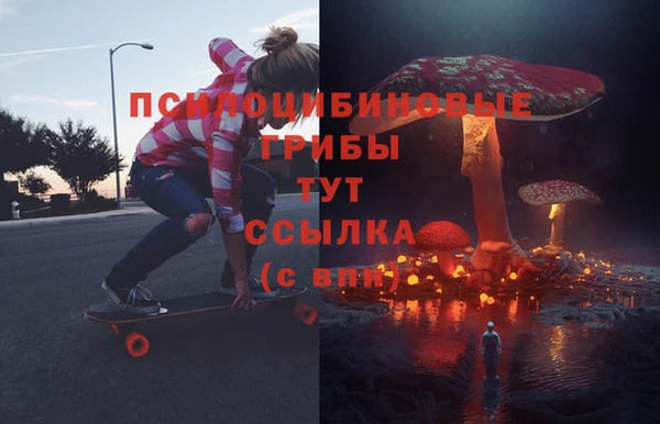 мдпв Бугульма