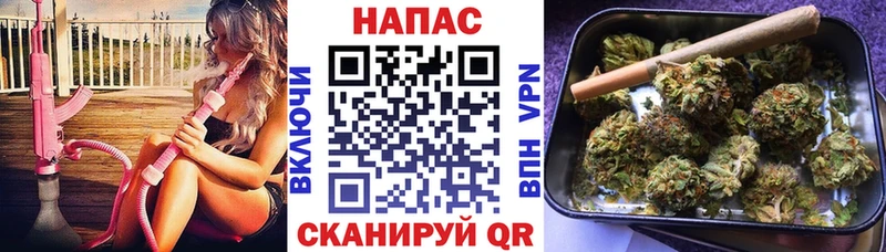 купить   Медногорск  Бошки марихуана семена 